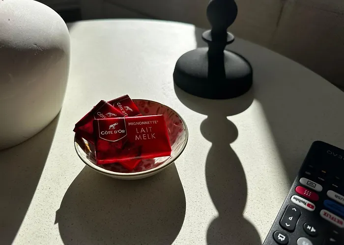 Lovely 1br & 1lr For 4p, Only 15 Min Walk To Center * Gent